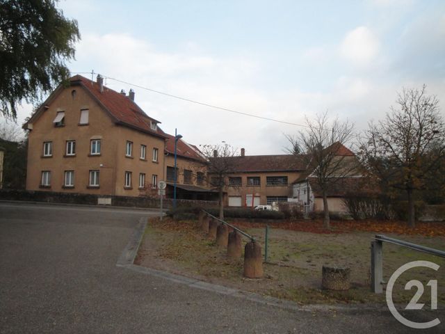 divers à vendre - 2750.0 m2 - STEINBOURG - 67 - ALSACE - Century 21 Pays Du Haut Barr