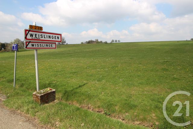 terrain à vendre - 970.0 m2 - WEISLINGEN - 67 - ALSACE - Century 21 Pays Du Haut Barr terrain à vendre - 970.0 m2 - WEISLINGEN - 67 - ALSACE - Century 21 Pays Du Haut Barr
