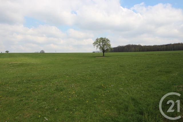 terrain à vendre - 970.0 m2 - WEISLINGEN - 67 - ALSACE - Century 21 Pays Du Haut Barr terrain à vendre - 970.0 m2 - WEISLINGEN - 67 - ALSACE - Century 21 Pays Du Haut Barr