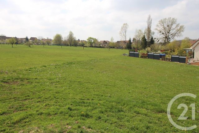terrain à vendre - 970.0 m2 - WEISLINGEN - 67 - ALSACE - Century 21 Pays Du Haut Barr terrain à vendre - 970.0 m2 - WEISLINGEN - 67 - ALSACE - Century 21 Pays Du Haut Barr