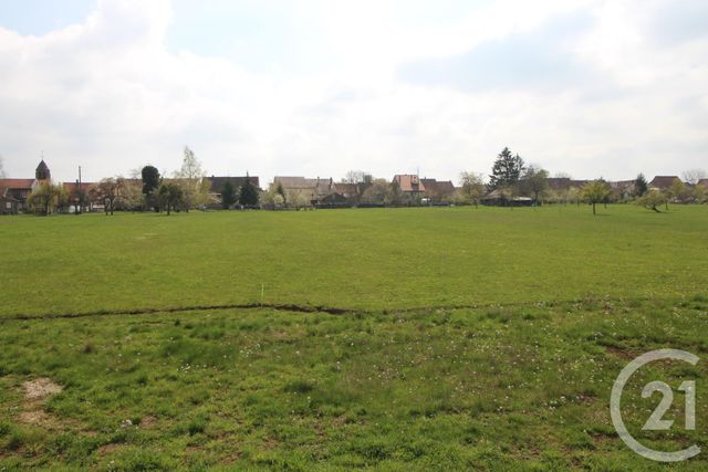terrain - WEISLINGEN - 67