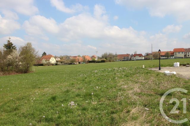 terrain - WEISLINGEN - 67