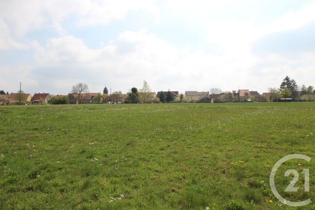 terrain - WEISLINGEN - 67