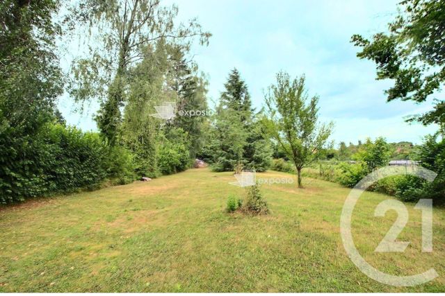 terrain à vendre - 8000.0 m2 - BOUXWILLER - 67 - ALSACE - Century 21 Pays Du Haut Barr