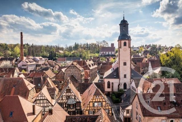 terrain à vendre - 8000.0 m2 - BOUXWILLER - 67 - ALSACE - Century 21 Pays Du Haut Barr