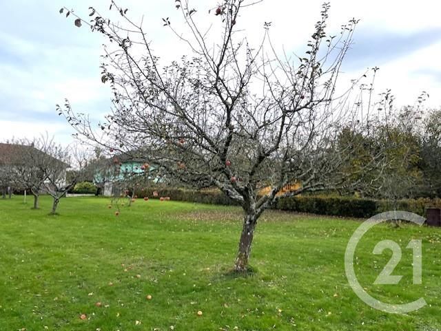 Terrain à vendre PLAINE DE WALSCH