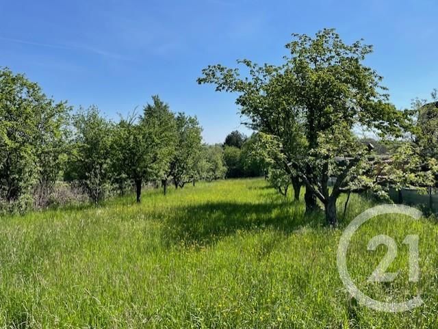 terrain à vendre - 1900.0 m2 - PHALSBOURG - 57 - LORRAINE - Century 21 Pays Du Haut Barr