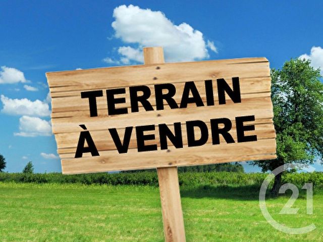 terrain à vendre - 20000.0 m2 - SAVERNE - 67 - ALSACE - Century 21 Pays Du Haut Barr