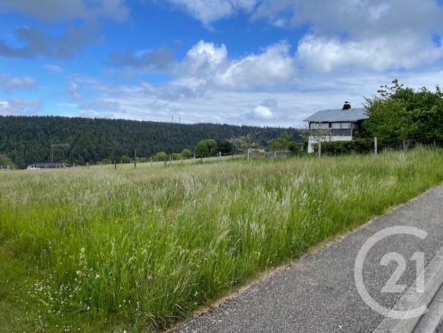 terrain à vendre - 960.0 m2 - DABO - 57 - LORRAINE - Century 21 Pays Du Haut Barr
