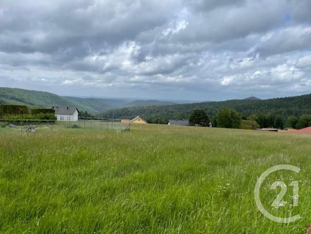 terrain à vendre - 960.0 m2 - DABO - 57 - LORRAINE - Century 21 Pays Du Haut Barr