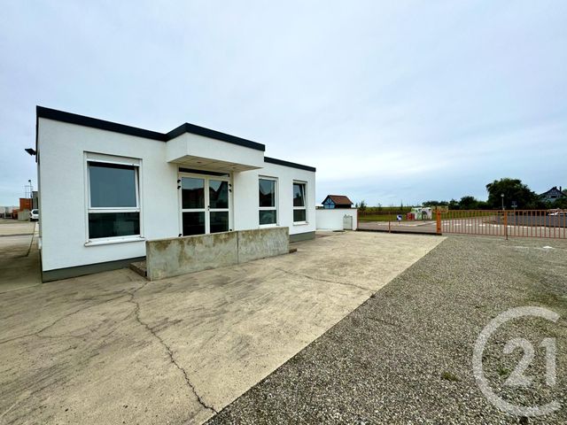 entreprise à louer - 55.0 m2 - BATZENDORF - 67 - ALSACE - Century 21 Pays Du Haut Barr