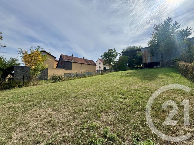 terrain à vendre - 707.0 m2 - WEITBRUCH - 67 - ALSACE - Century 21 Pays Du Haut Barr