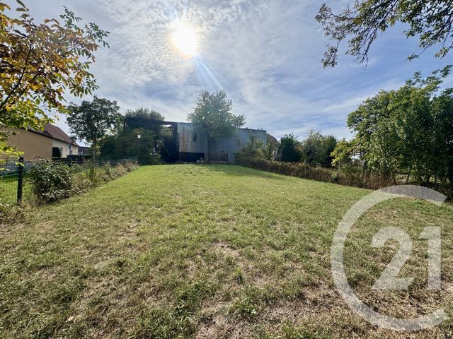 terrain à vendre - 707.0 m2 - WEITBRUCH - 67 - ALSACE - Century 21 Pays Du Haut Barr